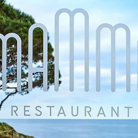 Les Roches Brunes 酒店 科利尤尔