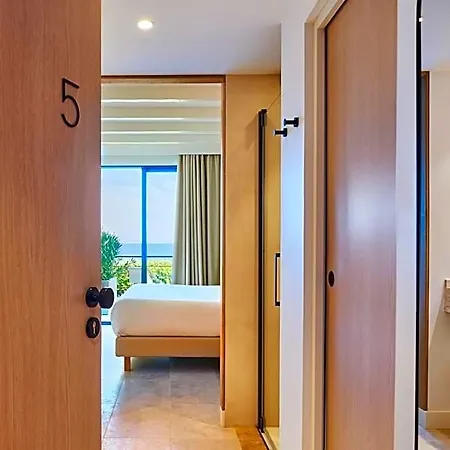 Les Roches Brunes 4* 科利尤尔